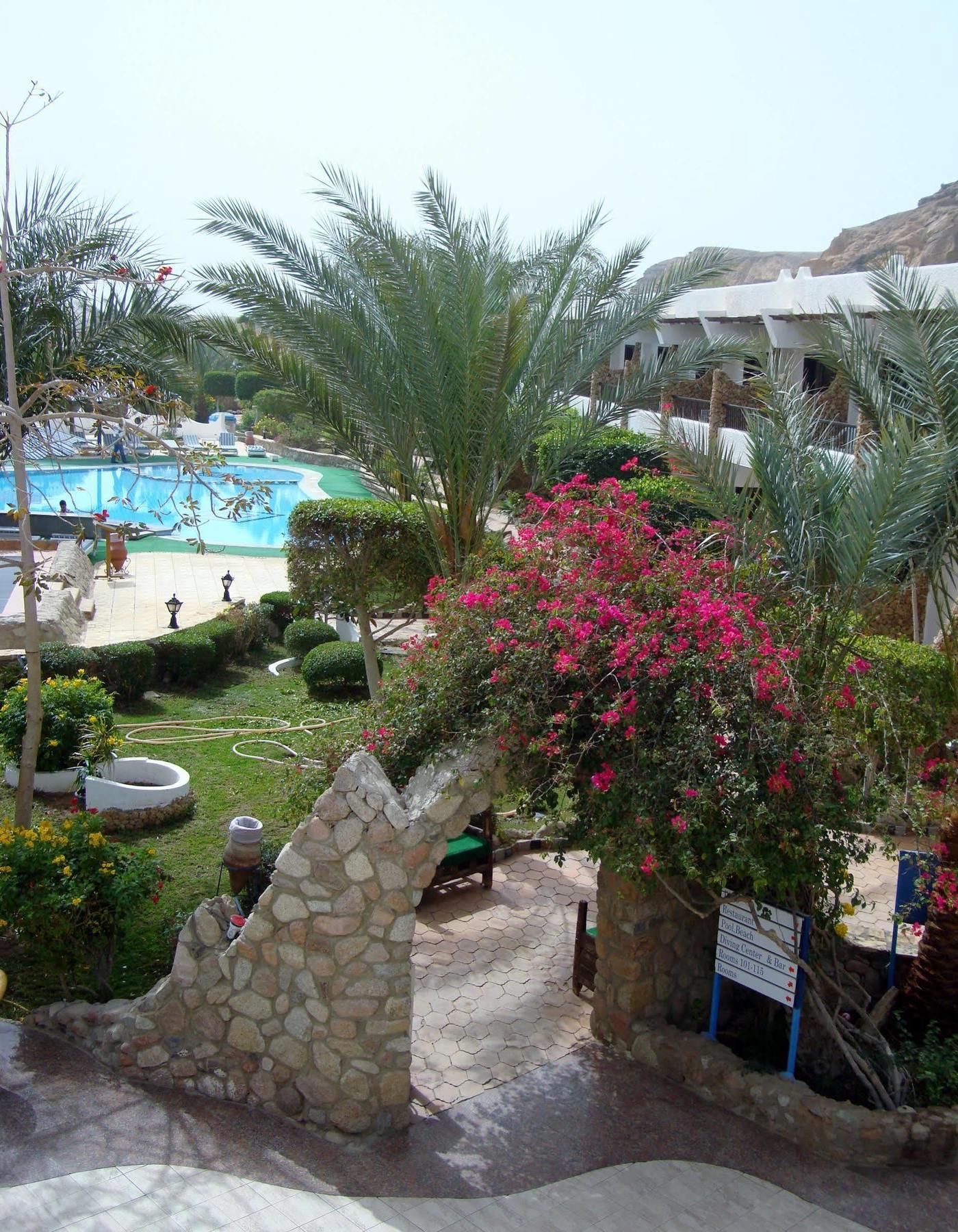 Hotel Turquoise Beach Sharm El Sheikk Exterior foto